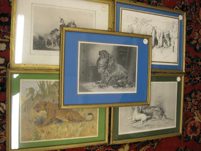 5 Framed Animal Related Prints