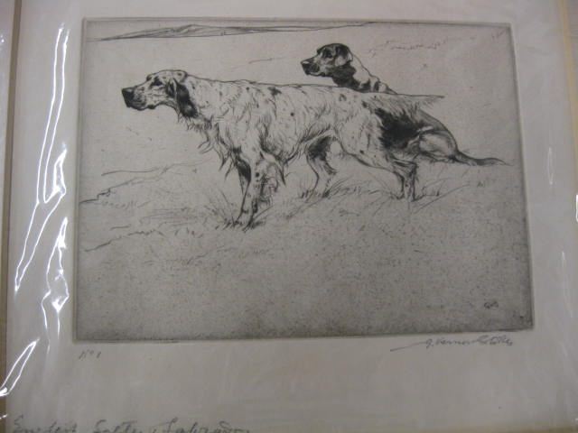 Lot of 21 Dog Engravings & Prints