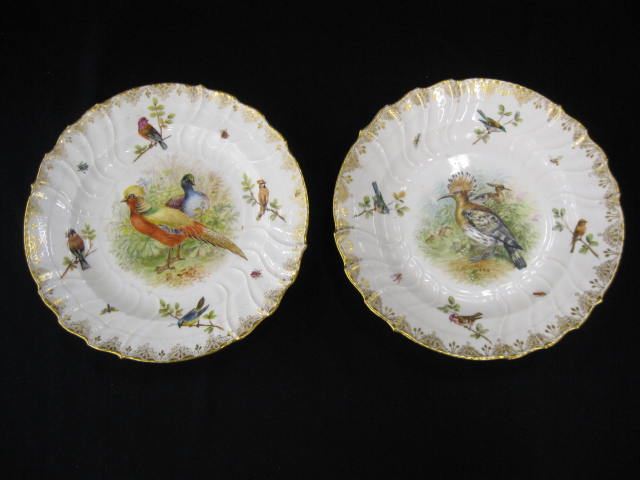 Pair of KPM Porcelain Bird Plates 14e4bc