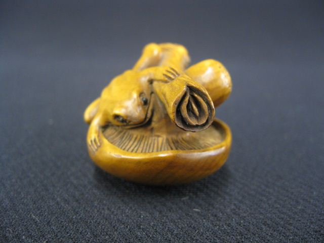 Carved Boxwood Netsuke of a Frogon 14c14a