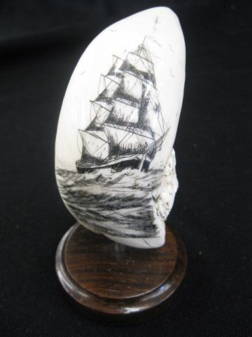 Scrimshaw Ivory Whale's Tooth sailing