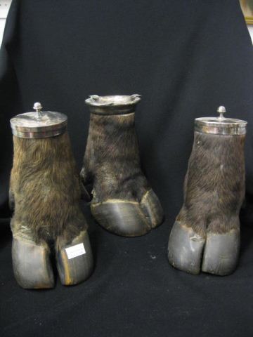 Water Buffalo Hoof Smoking 14c33d