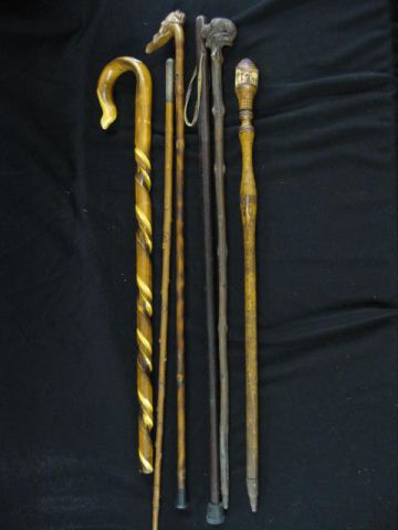 Collection of 6 Canes Walking 14c346