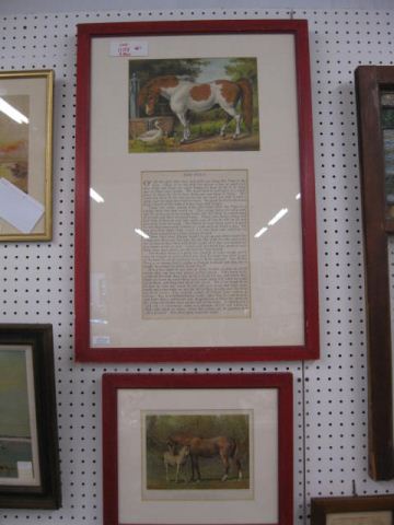 2 Framed Prints with Pony Horses 14c404
