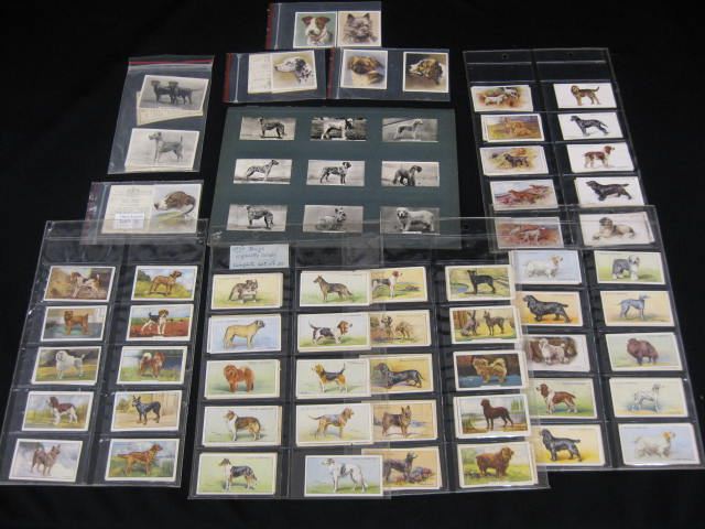 Collection of Various Dog Related