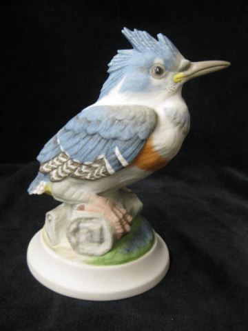 Boehm Porcelain Figurine Fledgling 14c9af