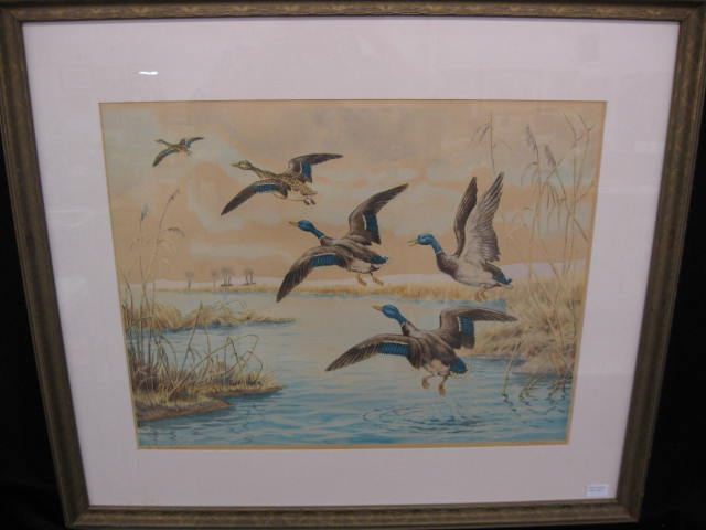 Paul Wood Drypoint Etching mallards 14ca9c