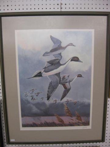 Larry Torchill Lithograph of Mallards