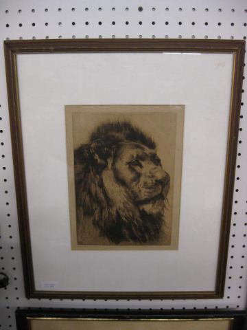 Engraving of a Lion's Head 8''