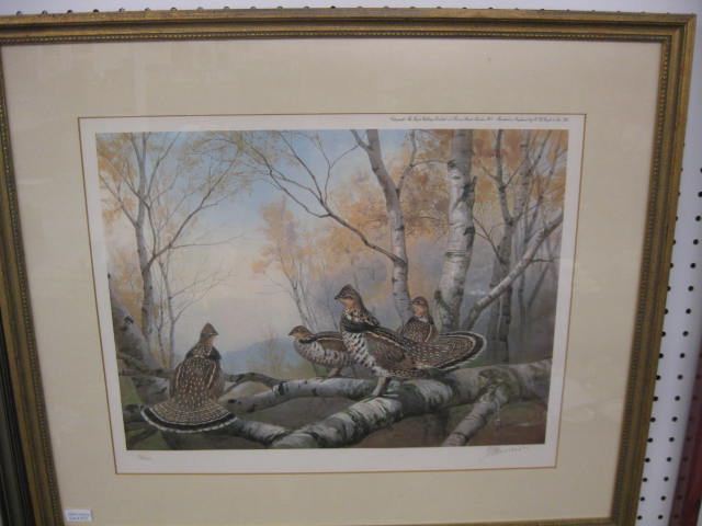 J. C. Harrison Lithograph quail among