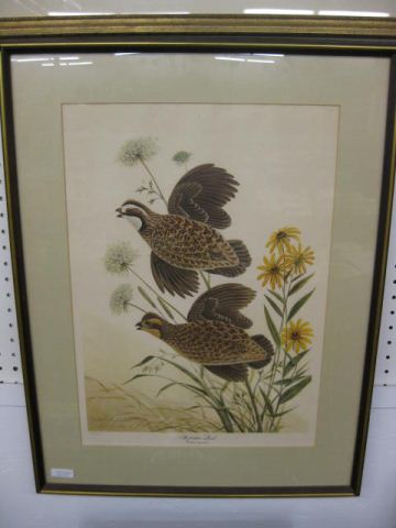 John A. Ruthman Lithograph ''Bobwhite