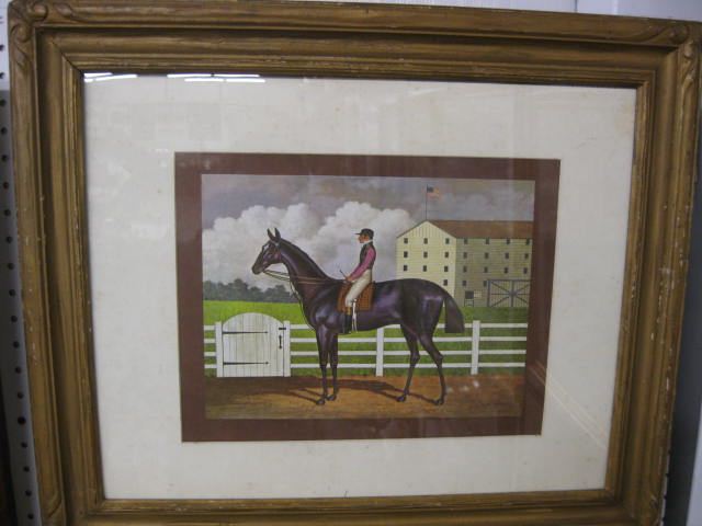 Framed Print of Jockey Horse 14caf0