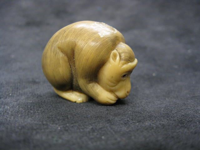 Carved Vegetable Ivory Netsuke 14cdab