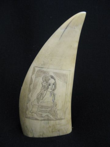 Scrimshaw Whales Tooth scenes of young