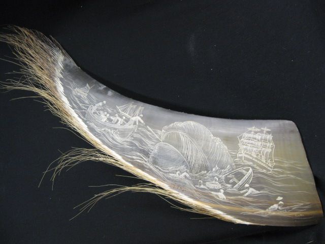 Carved Whale Baleen with elaborate carved