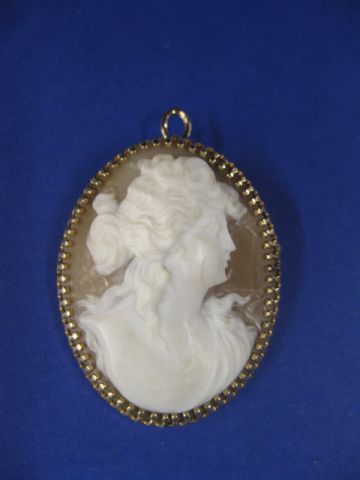 Cameo Pendant or Brooch carved 14f9ec