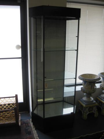 Display Cabinet glass sides & shelves