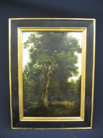 Oil Painting landscape with trees 14fc9f