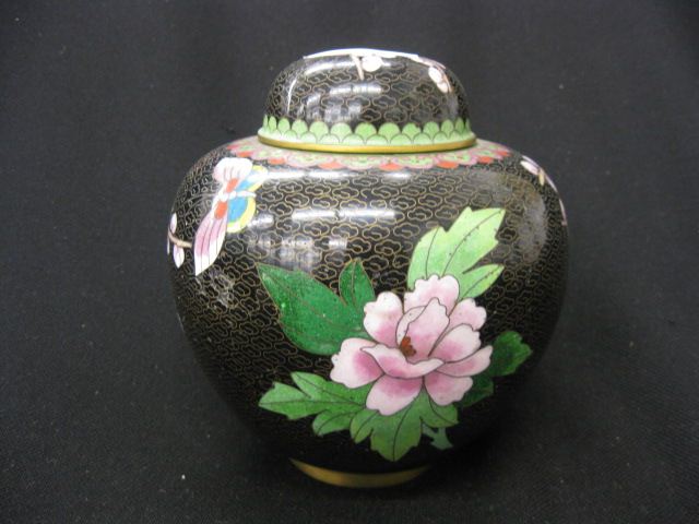 Chinese Cloisonne Ginger Jar butterfly