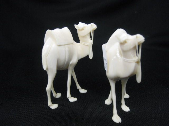 2 Carved Ivory Figurine of Camels 3