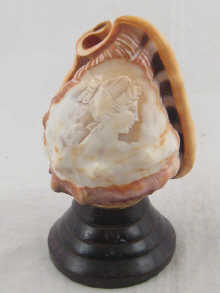 A carved shell cameo on wooden stand.