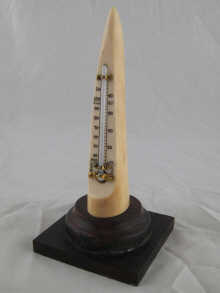 A standing ivory tusk desk thermometer