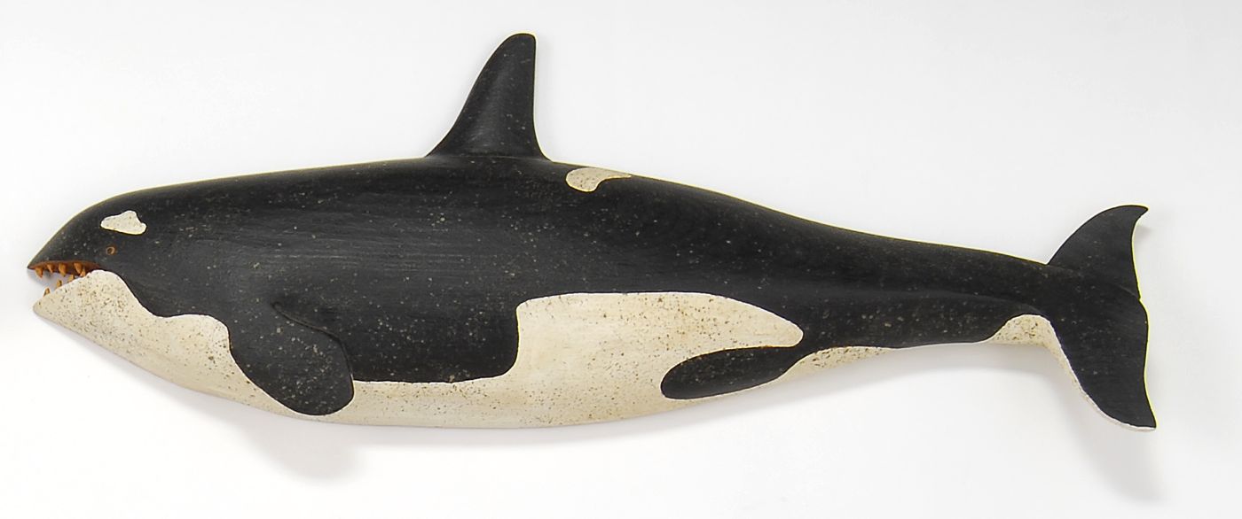 Orcas-signed