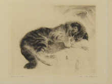 A framed original etching of Cat