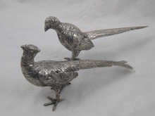 A pair of German silver pheasants