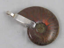 An opalescent ammonite pendant