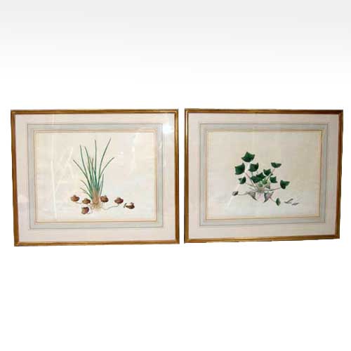 A Pair of Watercolor Botanical 151e68