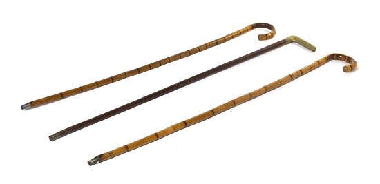 A Group of Three Canes comprising a