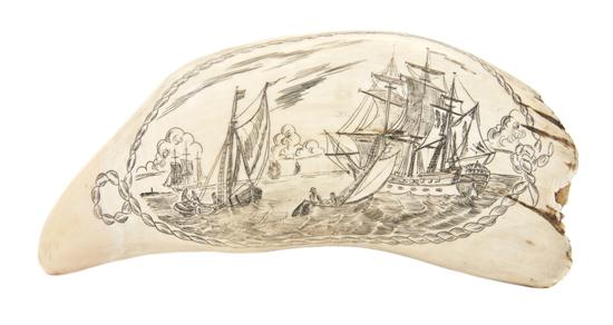 A Scrimshaw Whale's Tooth one side