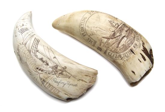 Two Scrimshaw Whales Teeth one depicting