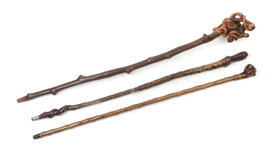 A Collection of Three Walking Sticks 1529e3