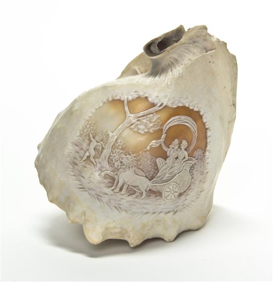 *A Cameo Carved Conch Shell depicting