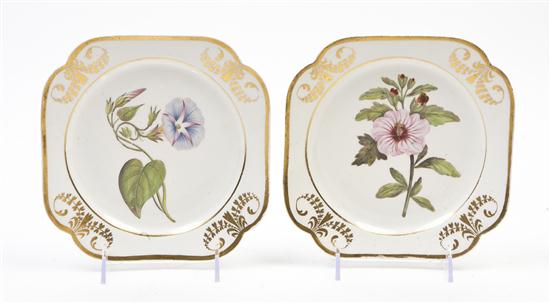 *A Pair of English Pottery Plates of