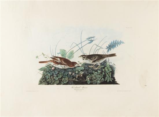 (AUDUBON JOHN JAMES after) HAVELL ROBERT