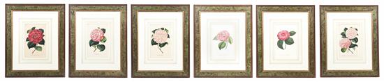 *A Set of Six Botanical Prints