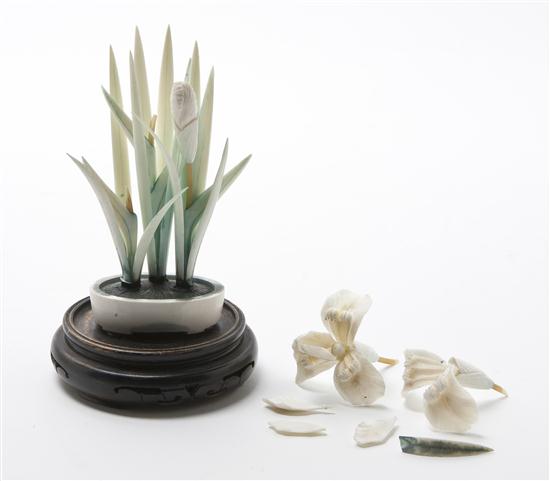 *A Stained Ivory Model of Irises