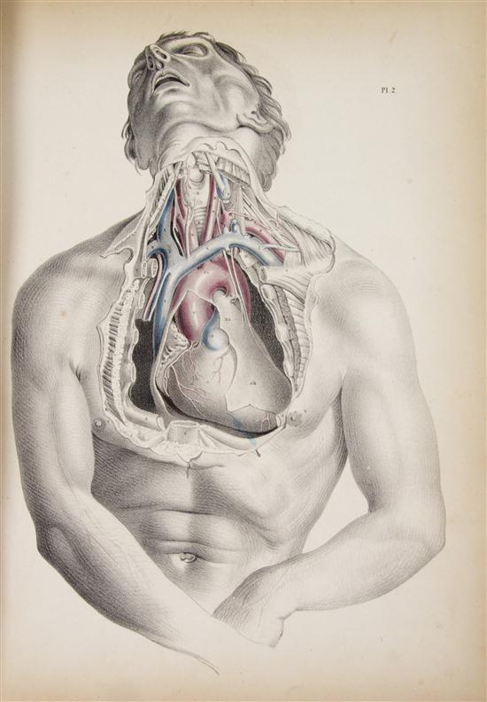  ANATOMY MACLISE JOSEPH Surgical 154e32