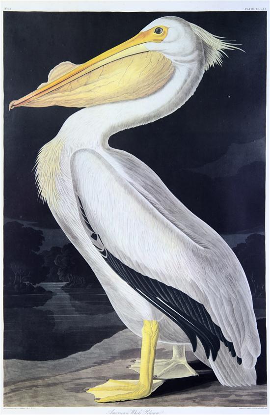 * (AUDUBON JOHN JAMES after) American