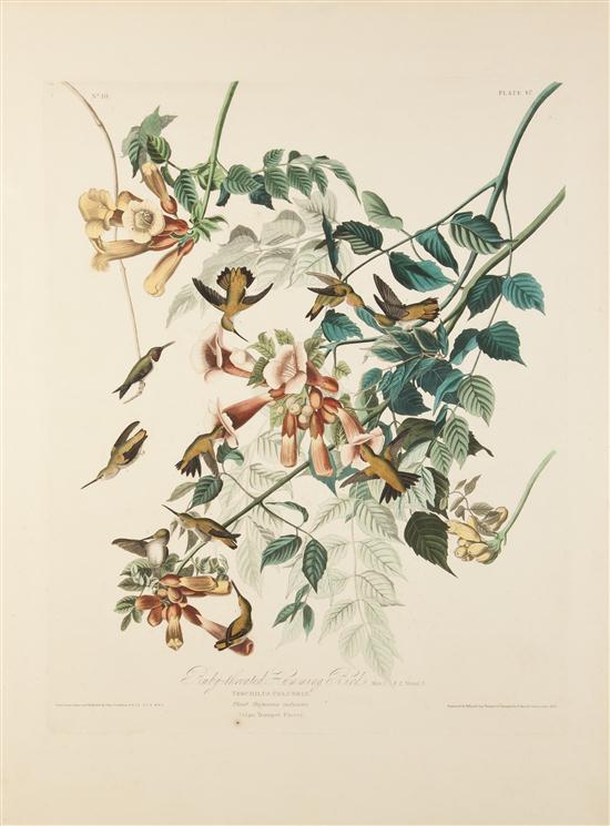 (AUDUBON JOHN JAMES after) HAVELL ROBERT