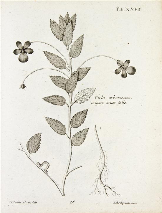 * (BOTANY GERMAN) FEUILLEE LOUIS A collection