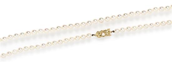 * A Single Strand Cultured Pearl