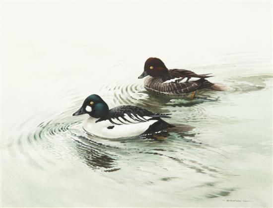Berrisford Hill Two Swimming Ducks 155945