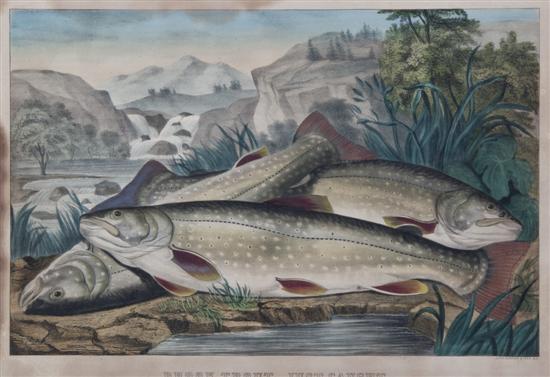 Currier and Ives Brook Trout Just 15595e