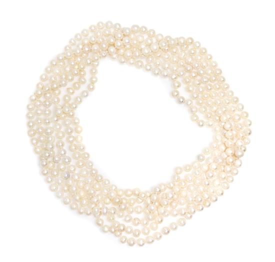 A Group of Single Strand Cultured 153842