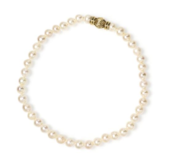  A Single Strand Cultured Pearl 15385b