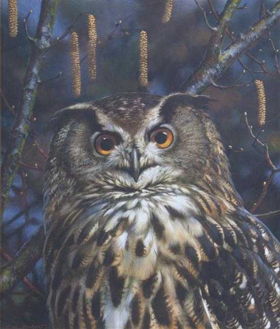 Carl Brenders (Belgian b. 1937) Owl